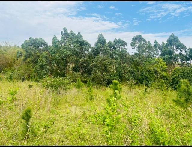 LAND FOR SALE IN ONGOYE